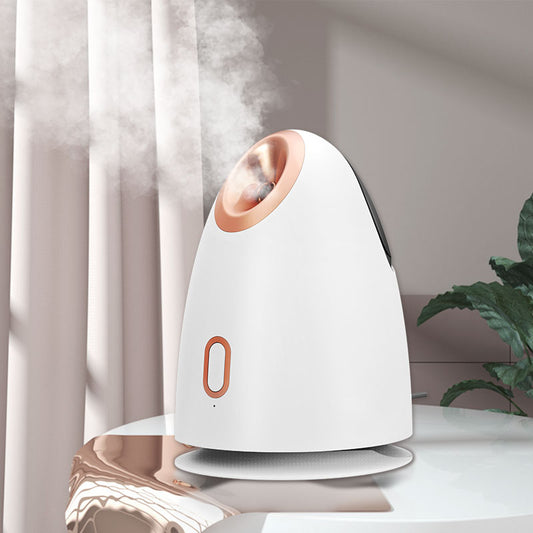 Face Steamer